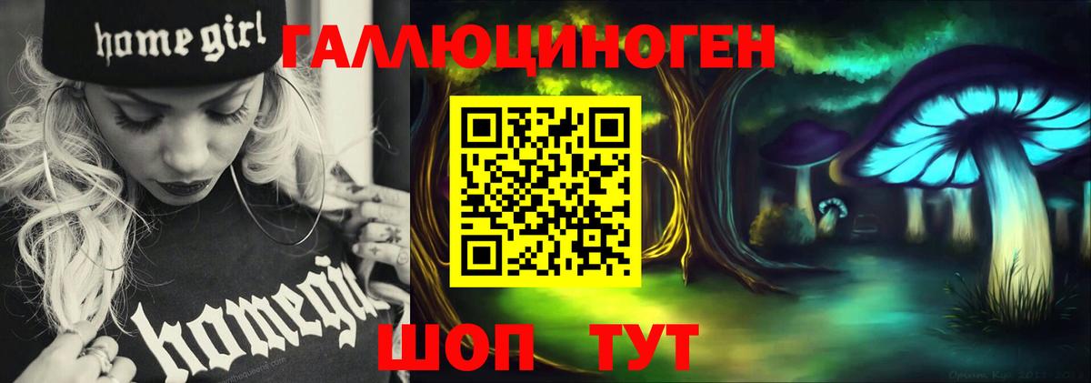 Псилоцибиновые грибы мицелий Камышин